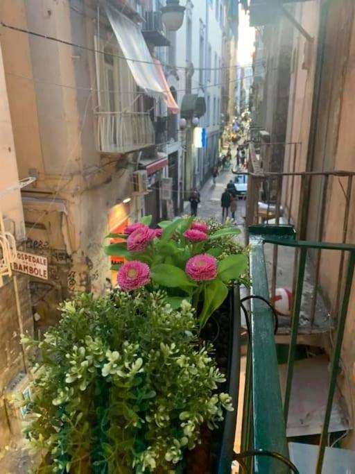 La Casa Di Patta A Spaccanapoli Kültér fotó